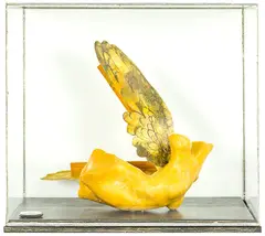 Fragment by Greer Twiss, mixed media in Perspex case, offered Jun 2016