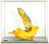Greer Twiss, Fragment