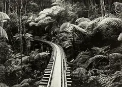 Gil Hanly, Barry Brickell Driving Creek Railway circa 1980’s, gelatin silver print