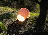 Bill Culbert, Bucket, Croagnes, type C print, 37/75
