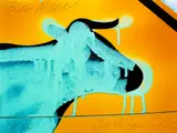 Paul Hartigan, Bloo Mooo