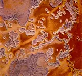 Theodorus Johannes Schoon, Coral-like formations from the fringes, of the Champagne Pool, Waiotapu', C-type print, image circa 1966-68