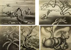 Gordon Walters, Compositions, 5 small format vintage gelation silver prints