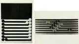 Gordon Walters, Photographs of Koru works dating to the period 1976 - 81