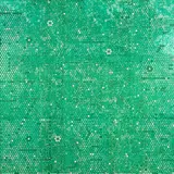 Sara Hughes, Circulate – 1
