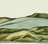Robin White, Sandhills, Raglan