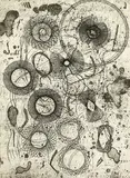 Barry Cleavin, A Leaf from Leonardo’s Book