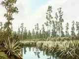 Jonathan White, Saltwater State Forest – South Westland, oil on canvas