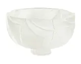 Ann Robinson, Ice Bowl, cast glass