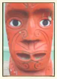 Wayne Youle, Tekoteko
