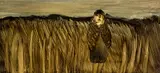 John Walsh, Lady in Flax