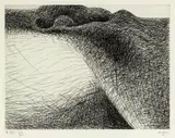 Henry Moore, Untitled – from the Elephant Skull Portfolio, etching, 49/100