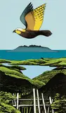 Don Binney, Kaiarara Kaka, Great Barrier