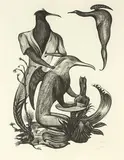 Bill Hammond, Untitled, lithograph, A/P