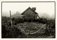Julian Ward, West Coast Noah’s Arc, gelatin silver print