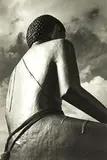 Peter Peryer, The Buddha at Kaukapakapa, gelatin silver print