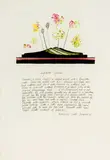 Marilynn Webb, Rangitoto Special, etching with applied watercolour