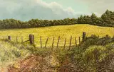 Mark Cross, Pasture and scrub, Kaeo, oil on board