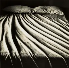 Bed by Anne Noble, gelatin silver print, sold Aug 2015
