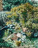 Karl Maughan, Untitled