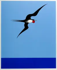 Pacific Frigate Bird by Don Binney, screenprint from the Barry Lett Gallery multiples, sold Mar 2015