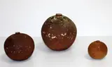 Len Castle, Three stoneware globular vases, of graduated size