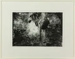 Triggerfish by Elizabeth Thomson, lithograph, 8/25, offered Feb 2015