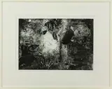 Elizabeth Thomson, Triggerfish, lithograph, 8/25