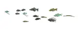 Elizabeth Thomson, The Rare and Queer Fishes of New Zealand, cast bronze, 14 parts