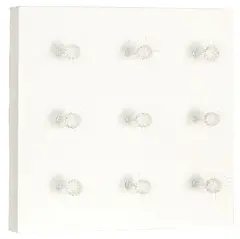 Elizabeth Thomson, Sundew Distillate, blown glass, gesso, and wall paper on board