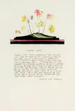 Marilynn Webb, Rangitoto Special, etching with applied watercolour