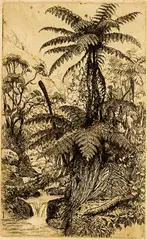 Trevor Lloyd, Glade Gossip, etching