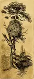 Trevor Lloyd, Untitled – Beside the Lake, etching