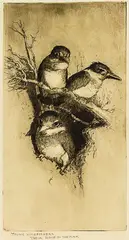 Trevor Lloyd, Young Kingfishers, Their Home in the Bak (sic), etching