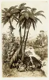Trevor Lloyd, Once Upon a Time, etching
