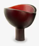 Ann Robinson, Splitting Pod