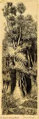 It’s Quiet Down Here by Trevor Lloyd, etching, sold Oct 2014