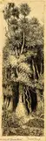 Trevor Lloyd, It’s Quiet Down Here, etching