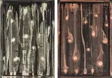 Luise Fong, Untitled