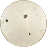 Luise Fong, Trans Luna III