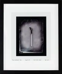 Ben Cauchi, Burnt Matchstick, digital print, 10/15