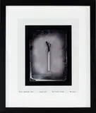Ben Cauchi, Burnt Matchstick