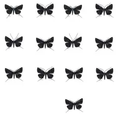 Elizabeth Thomson, Black and Whites XIII, patina, casein and oil-based pigment on thirteen bronze moths