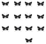 Elizabeth Thomson, Black and Whites XIII, patina, casein and oil-based pigment on thirteen bronze moths