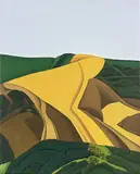 Robin White, Bare Hill, Paremata, oil on canvas
