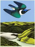 Don Binney, Swoop of the Kotare, Wainamu