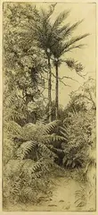 Trevor Lloyd, Two Nikau, etching