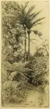 Trevor Lloyd, Two Nikau, etching