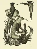 Bill Hammond, Untitled, lithograph, 17/30