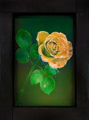 Liz Maw, The Rose, acrylic on board
